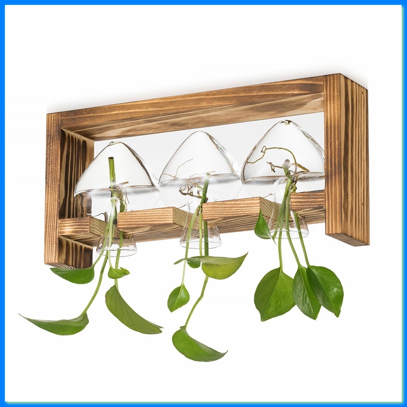 Szklana stacja do rozmnażania  – Propagation Station Vase recenzja i cena