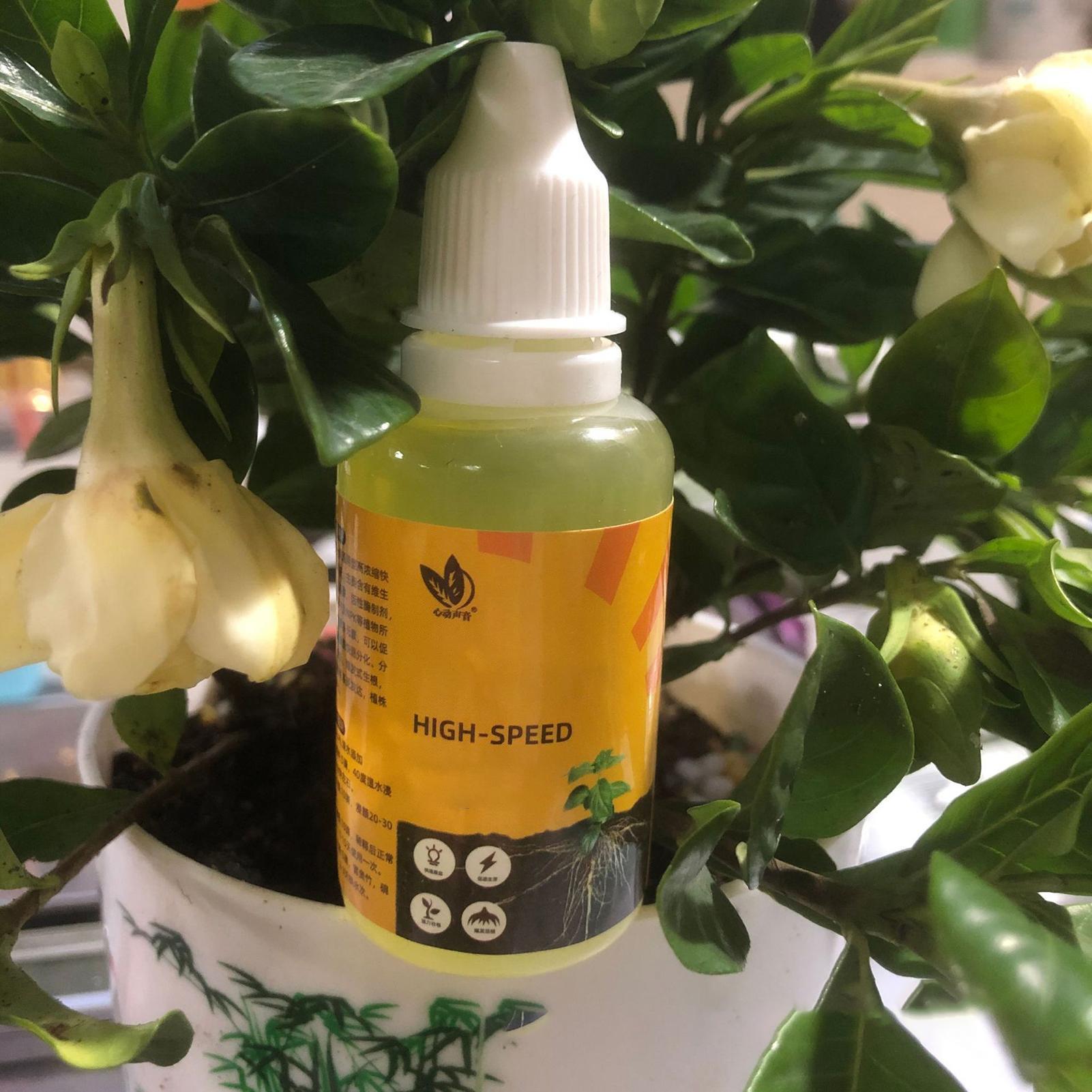 Szybki roztwór do ukorzeniań r – Root Stimulator Liquid recenzja i cena